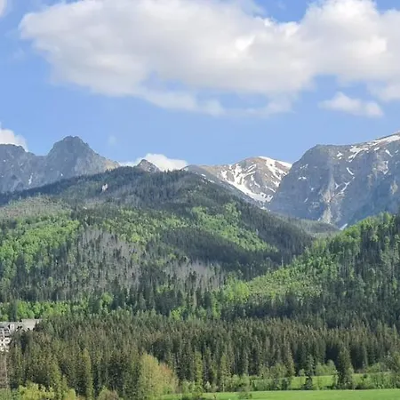 31 Giewont View *