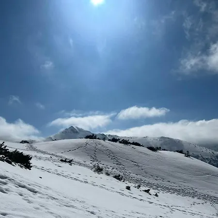 31 Giewont View Lejlighed