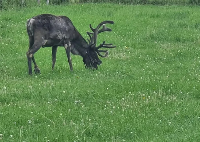 31 Giewont View Appartement *